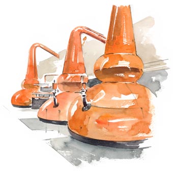 Il·lustració 24